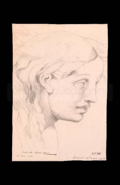 Studio di testa - 1835 - matita su carta cm. 40x30 - Lovere Accademia di Belle Arti Tadini
